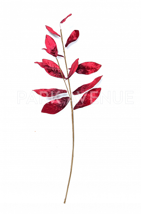 Листья магнолии